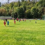 IMG_20240929_110857