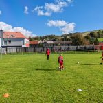 IMG_20241012_114750