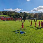IMG_20241012_114757