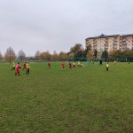 IMG_20241026_093444