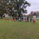 IMG_20241026_105704