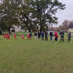 IMG_20241026_105709
