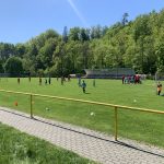 IMG_8546