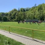 IMG_8552