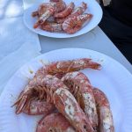 IMG_8699