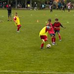 IMG-20260614-WA0010