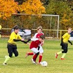 IMG-20261024-WA0012